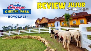 CEPOGO CHEESE PARK CIMORY BOYOLALI | REVIEW JUJUR INFO LENGKAP