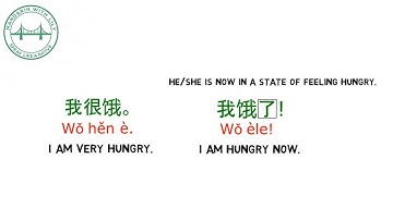 Modal 了| Chinese Modal Verbs | Learn Chinese For Beginner | MandarinWithLily.com