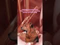 POV: Me vs Pillow Talk Collection 💄✨ #charlottetilbury #pillowtalk
