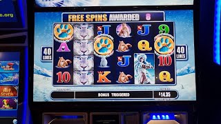 Arcade Slots. Snow Leopard, Thai Flower and More. *Max Bet Bonuses* screenshot 3