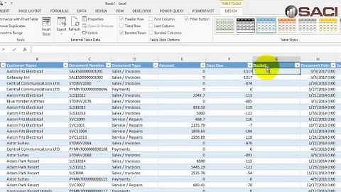 Microsoft Dynamics GP - Excel AR Trial Balance