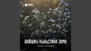 Вайшиъ къаьстина зама