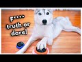 Truth or Dare Goes WRONG! Dog Plays Truth or Dare Using Talking Buttons (BLOOPERS)