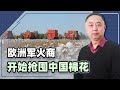 打壓新疆棉花後，歐洲軍火商開始搶囤，中國早該放下「道德潔癖」【一號哨所】