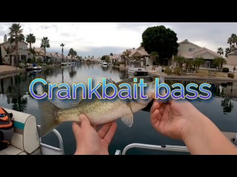 Winter bass caught on crankbaits
