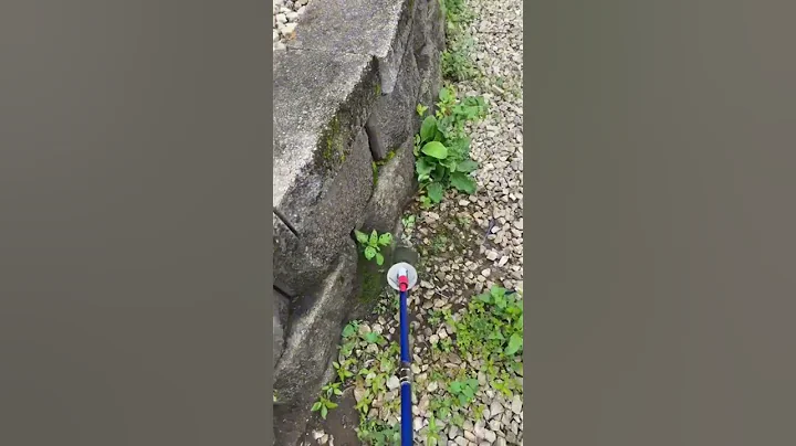 Adjustable Flame Propane Weed Burner – Garden Torch Kit