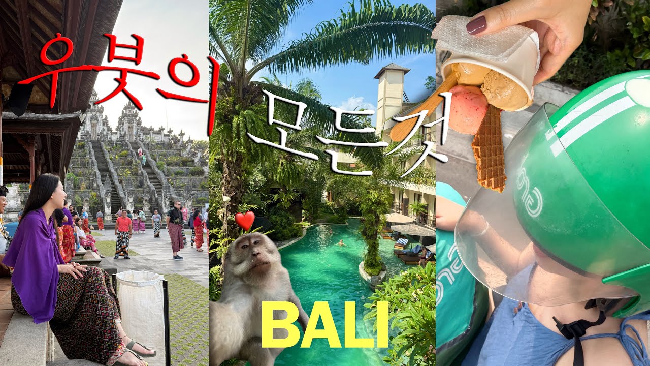 발리여행vlog 🇮🇩 우붓가성비숙소부터 발리북부투어까지 야무지게 모아봄!