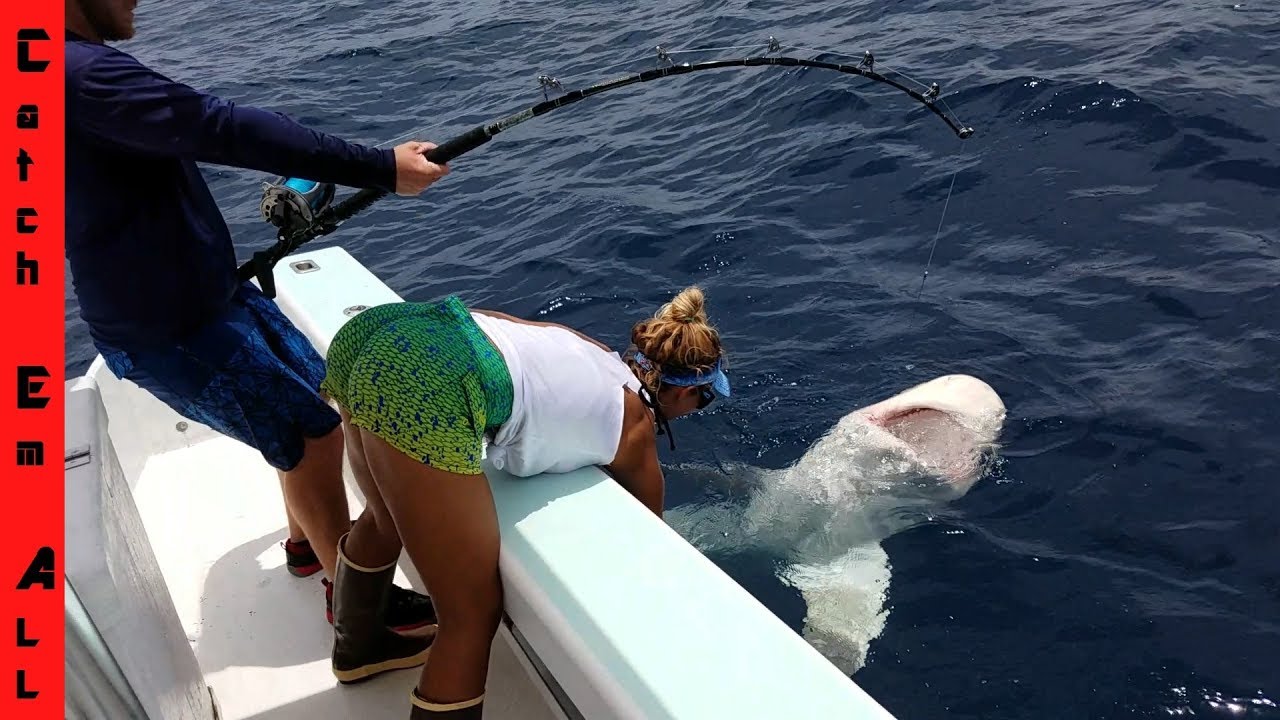 how to fish terraria SHARK FISHING HER Surprise RECORD CATCH!