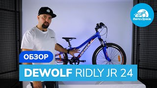 Обзор | DEWOLF RIDLY JR 24