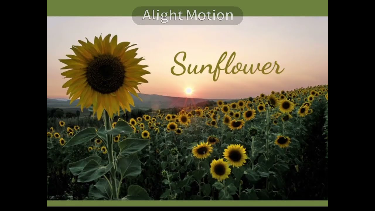 Wolf Tales update: apexes| Обновление Wolf Tales: апексы