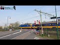 Spoorwegovergang Gilze-Rijen 😍4K😍 // Dutch railroad crossing