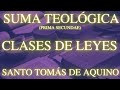 Santo Tomás de Aquino - Suma Teológica (Prima secundae, cuestión 91: Clases de leyes)