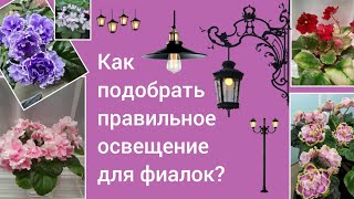 видео: ОСВЕЩЕНИЕ для фиалок! Видео для НАЧИНАЮЩИХ! Рассказываю про светодиодные ленты, фитолампы, светильни картинка: ОСВЕЩЕНИЕ для фиалок! Видео для НАЧИНАЮЩИХ! Рассказываю про светодиодные ленты, фитолампы, светильни