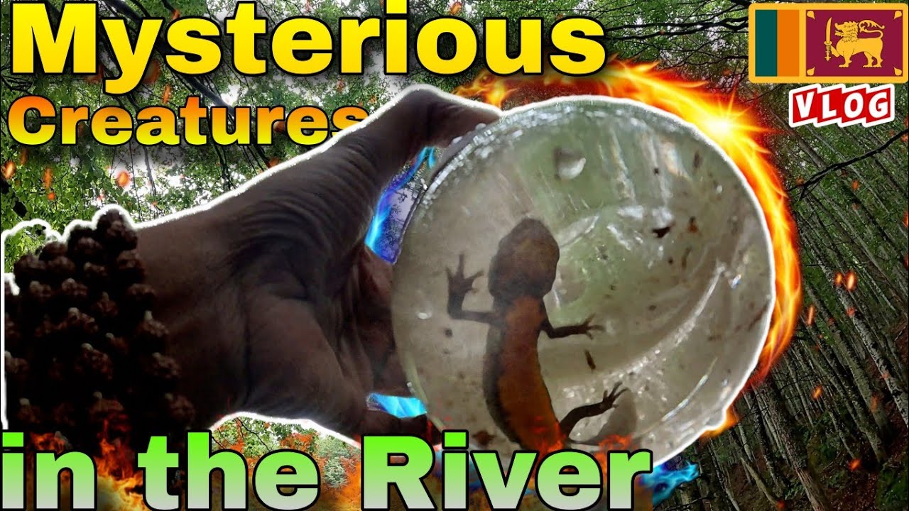 ඉතාලියේ කැලයක් මැද හම්බවුන අමුතු පොකුණේ ජීවත් වෙන අමුතු සත්තු 😱 | This is REAL!