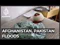 Afghanistan, Pakistan: At least 200 killed in monsoon floods