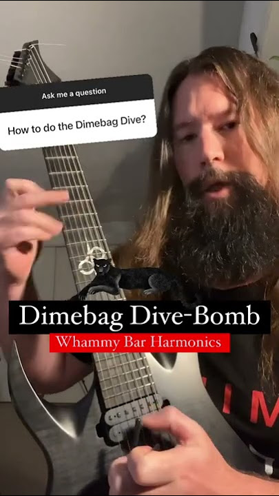 Pantera Dimebag Darrell Dive-bomb