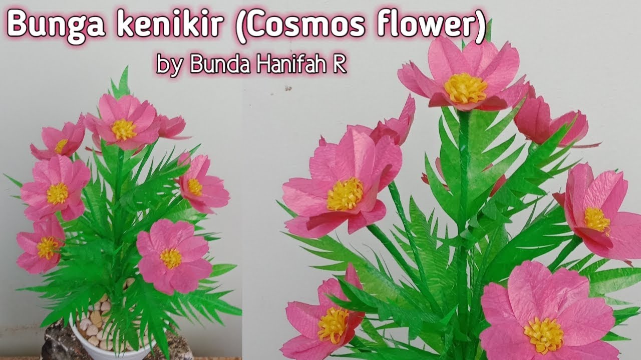 Cara Membuat Bunga Kenikir Dari Plastik Kresek Ll How To Make Cosmos Flowers From Plastic Bag Youtube