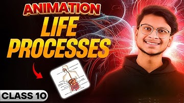 Class 10- Life process 1 SHOT🔥 Animation🔥 Science chapter 5