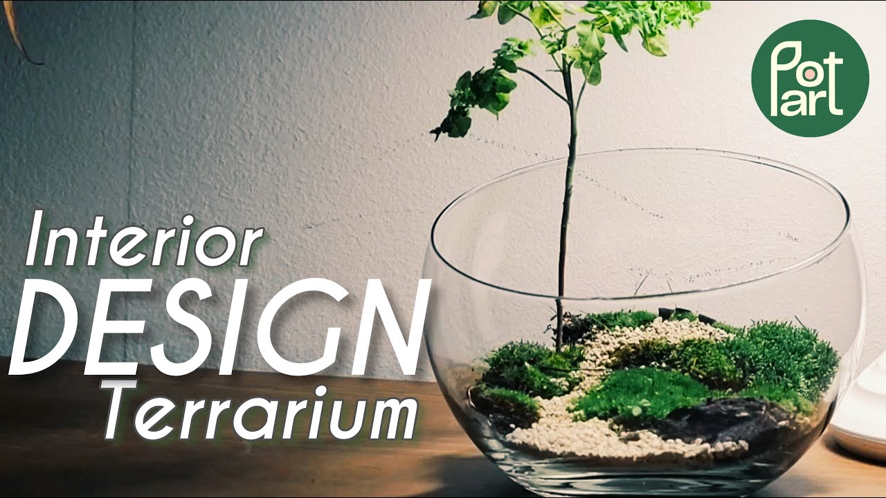 OPEN Terrarium | tree and moss bowl TUTORIAL - YouTube