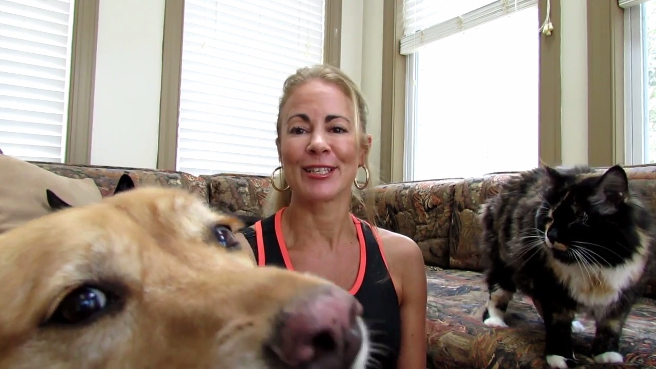 pet psychic near me Youtube opener