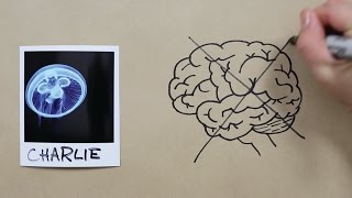 The Internet of Things, explained with a jellyfish