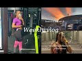 Weekly vlog  behind the scenes of last weeks adventures   belatedchronicles