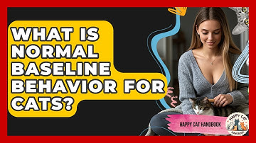 What Is Normal Baseline Behavior For Cats? - Happy Cat Handbook