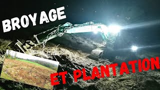 chantier de plantation de peupliers... broyage et plantation à l'obus. kobelco sk 180