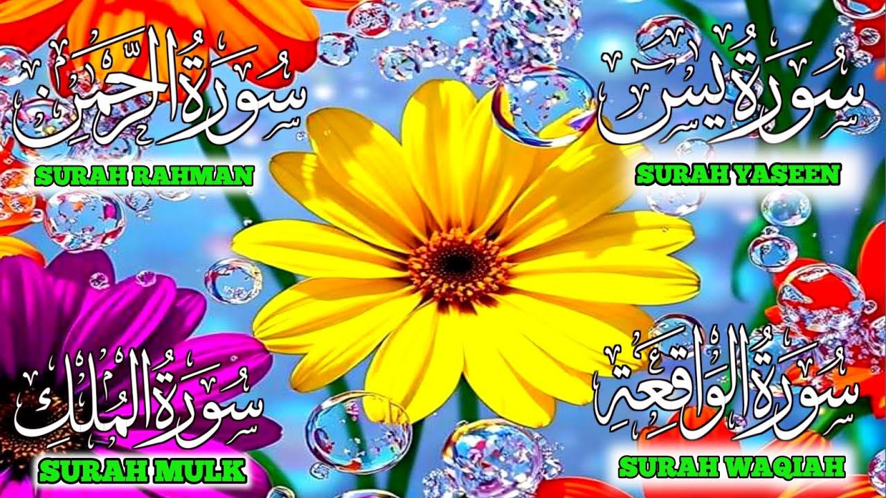 . 🌙 Soul Healing Quran Tilawat | Surah Yaseen, Rahman, Waqiah, Mulk | Deep Spiritual Feelings