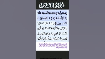 سورة النمل الآية 14 #قرآن #تلاوات #سورة