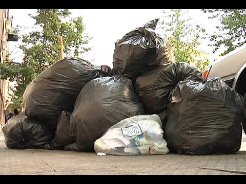 Bolsas plásticas: Uno de los principales problemas medioambientales