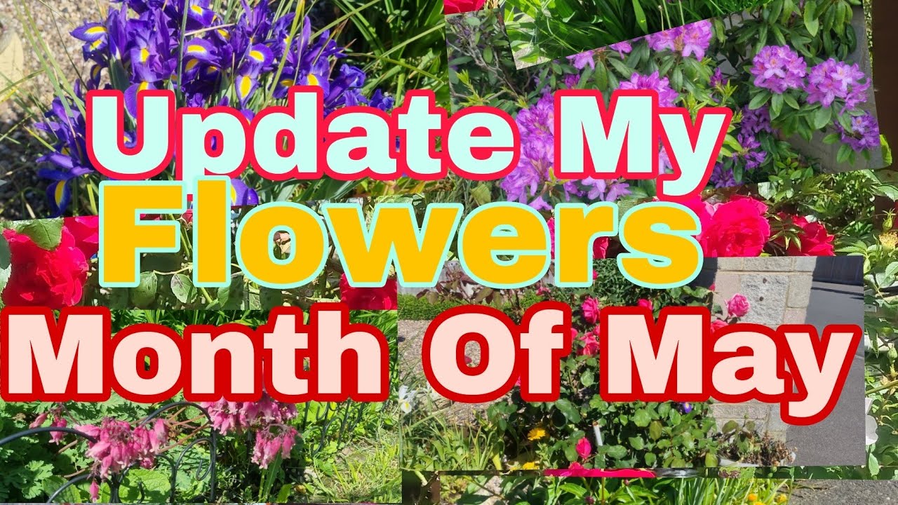 Update My Flowers, Stress Reliever PinayNene life in UK YouTube
