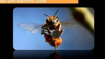 AWS 201 Webinar Series: Designing for Failure - Simon Elisha