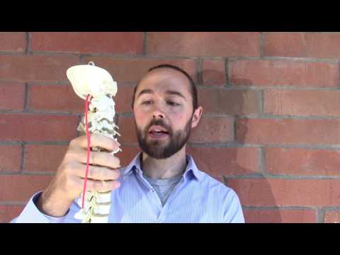 What Causes Headaches? Intro to Postural Headaches