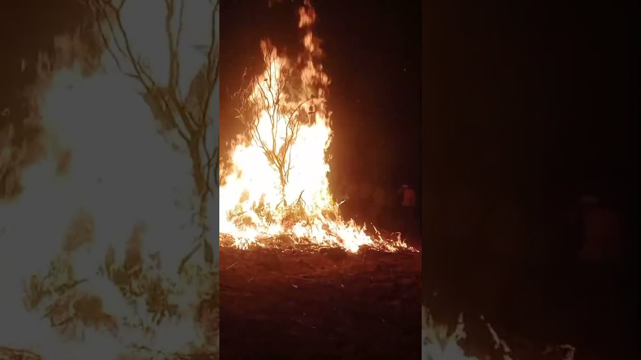 ##होली  दहन सुनारी 