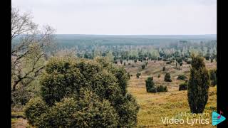 IT'S TOO LATE GAIL BLANCO 