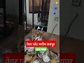 pepar plate machine jaipur/9358711004.peparplatemachine#shortvideo #viralvideo #peparplatemachine