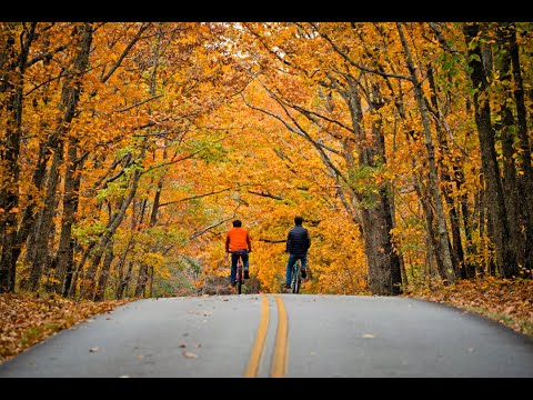 Video: A State-by-State Guide to Fall Colors