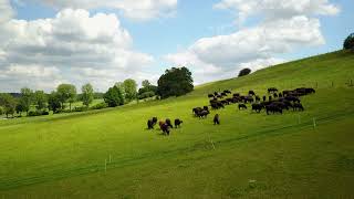 Raw Drone Holzgerlingen 4