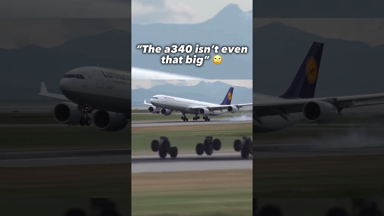 The True Size Of A340 Aviation Planes Avgeeks Landing Fyp