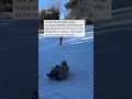 A Florida native goes sledding in Tallahassee
