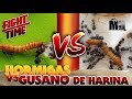 HORMIGAS VS GUSANO | Hormigas Messor Barbarus