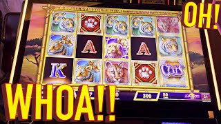 A NEW CATS SLOT MACHINE!!!!!!!!!