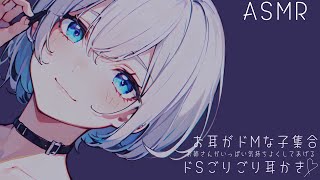 【ASMR】お耳がドMな子集合 お姉さんが気持ちよくしてあげるドSごりごり耳かき  Ear Cleaning【耳かきボイス】