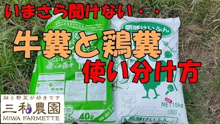 【牛糞と鶏糞】使い方が全く違います！NO530(2022.9.9）