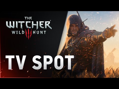 The Witcher 3: Wild Hunt - этому миру нужен профессионал