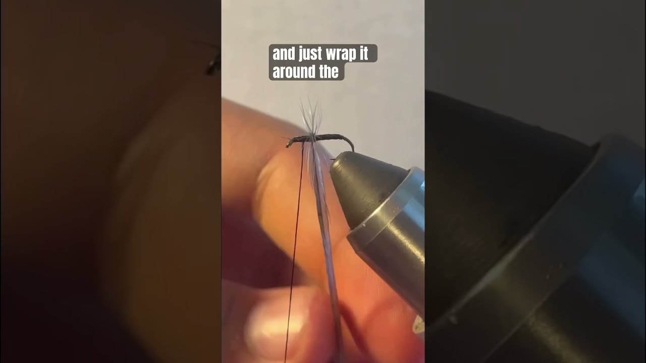 Super Simple Ant Fly Pattern