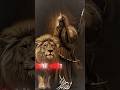 Hazrat Abbas ibn Ali 🔥🤯#shorts #trending #shortsfeed #viral #facts #islam #allah #motivation #tiktok