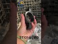 #Youweinuo Here are photos of the Kubota parts in our warehouse📲📲WhatsApp:+86 18015818525