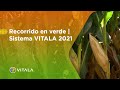 Recorrido en verde  sistema vitala 2021
